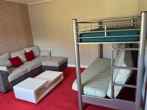 a living room with a bunk bed and a couch at gite du Breuchin trois in La Longine