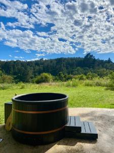 Gallery image of Soul Forest Cabin Nature Retreat with Hot Tub in Sedgefield