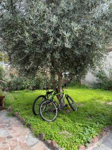 ein Fahrrad neben einem Baum im Gras geparkt in der Unterkunft Cottage by the Sea in Vathy Methana in Megalochori + 32 Fotos