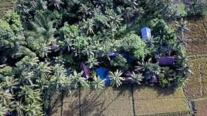 Giardino di Coconut Corner - Ocean View Treehouse