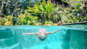 Piscina di Coconut Corner - Ocean View Treehouse o nelle vicinanze