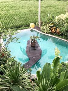 Piscina di Coconut Corner - Ocean View Treehouse o nelle vicinanze