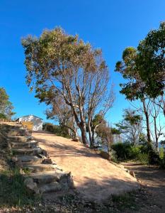 a dirt road with trees on the side of a hill at Appartement 2 personnes bord de mer in Sagone