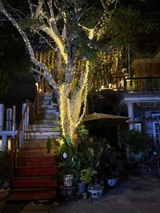 a tree with christmas lights on the stairs at Đưa Nhau Đi Trốn in Xuan An