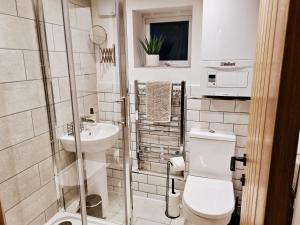 a bathroom with a toilet and a sink at 2-Bed Apartment - For Contractors & Business Travellers - Long Stays Welcome in Exeter
