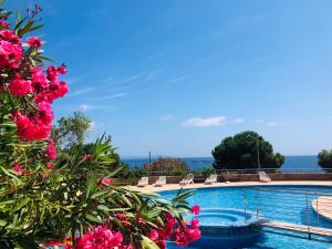 Bazén v ubytování Évasion Corse - T2 Vue Mer, Piscine & Plage nebo v jeho okolí