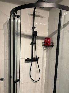 een douche in een badkamer met een glazen deur bij Apartment Sanja in Senj