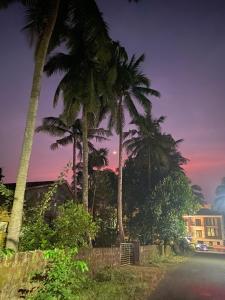 a group of palm trees on the side of a road at 1 bed peaceful studio Apartment near Colva beach in Benaulim +8 photos