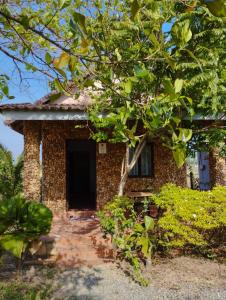 Κήπος έξω από το Garden Bungalow