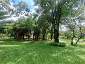 a group of trees in a park with green grass at Ukujabula in Groblersdal