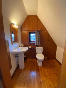 ein Badezimmer mit Toilette und Waschbecken auf dem Dachboden in der Unterkunft Chambres Gambrinus in Beblenheim + 21 Fotos