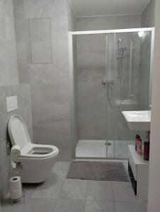 a bathroom with a shower and a toilet and a sink at Nový apartmán v centru, soukromé parkování in Brno +17 photos