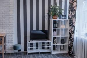 Televisyen dan/atau pusat hiburan di Studio type apartment in Ķegums +3 gambar
