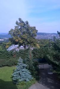 Príroda v okolí apartmánu