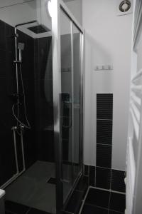 Ένα μπάνιο στο Romanescu One Apartament +31 φωτογραφίες