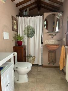 een badkamer met toilet en wastafel bij Villa Il Pensierino in Manciano +47 foto's