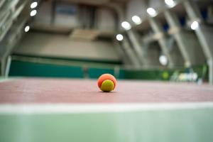 Attività di tennis o squash presso l'hotel o nelle vicinanze