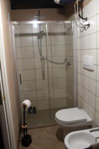 a bathroom with a shower with a toilet and a sink at Floriads Apartments Caramel in Mondovì