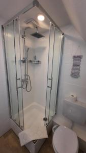 a bathroom with a shower and a toilet at De Lüdde Mangelstuv in Bredstedt +9 photos