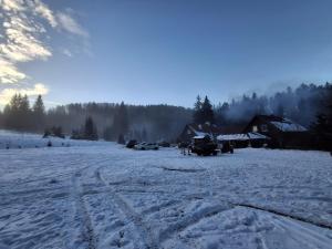 杜什尼基-兹德鲁伊Pensjonat Leśniczówka Zieleniec的一片雪地,里面满是人和汽车