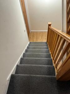 a staircase in a building with black carpet at Graceful Lodge in Leicester
