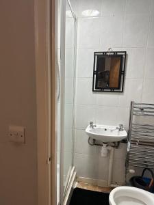 a bathroom with a sink and a mirror on the wall at Graceful Lodge in Leicester