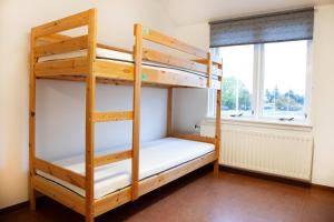 Llit o llits en una habitació de Lava Hostel