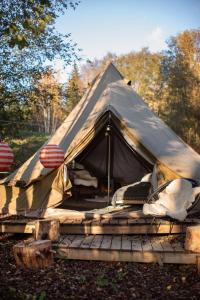 Fotografie z fotogalerie ubytování Glamping Höga Kusten v destinaci Undrom
