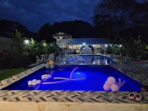 a pool at night with inflatable animals in it at Jex Poolpoint Villa in El Nido