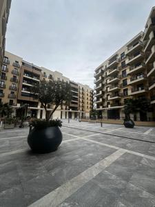 a courtyard with two large buildings and a tree at Hill Apartment in Podgorica