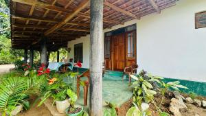 A garden outside Sigiriya Paradise Treehouse