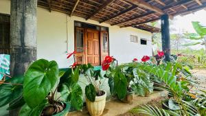 A garden outside Sigiriya Paradise Treehouse
