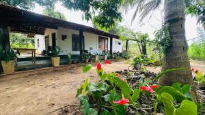 A garden outside Sigiriya Paradise Treehouse