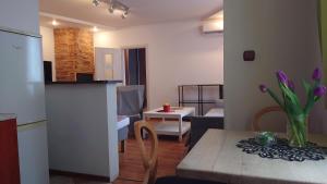 Kuchyňa alebo kuchynka v ubytovaní Apartamenty nad Stonehenge