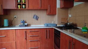Kuchyňa alebo kuchynka v ubytovaní Apartamenty nad Stonehenge