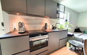 Una cocina o cocineta en Nice Apartment In Helsingborg With Wifi