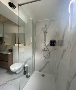 Koupelna v ubytování Grand appartement deux chambres