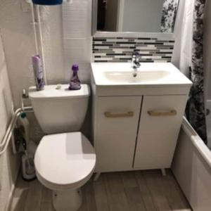 een badkamer met een wit toilet en een wastafel bij Charming duplex in La Toussuire +19 foto's