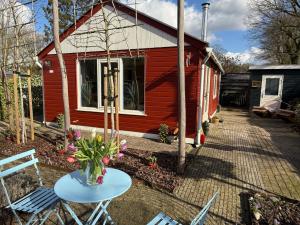 Κήπος έξω από το Eekhoorn, vakantiehuis met barrelsauna