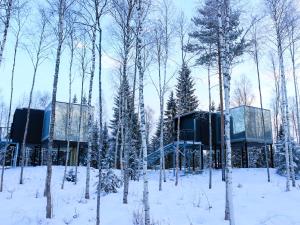 Silver Birch Resort Lapland v zimě