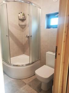 a bathroom with a shower and a toilet at Rodzinny Domek nad Zalewem in Swolszewice Duże