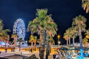 ein Park mit Palmen und einem Riesenrad in der Unterkunft Appartement à deux pas de la plage - Saint Pierre la Mer 6MDLM220 in Saint Pierre La Mer