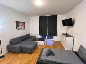 ein Wohnzimmer mit Couch und Fernseher in der Unterkunft Rosen Appartements in Neubrandenburg