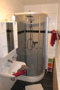 a bathroom with a shower and a sink at Ferienwohnungen Kasparbauer in Regen