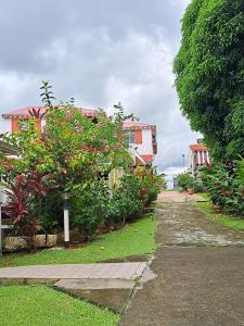 una casa con plantas en flor y un camino en la rose, en Lamentin