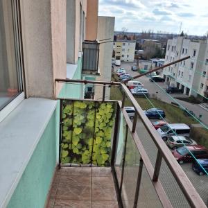 a balcony with a plant on the side of a building at Apartament Agnes in Gniezno