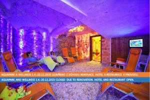TV a/nebo společenská místnost v ubytování Resort Špindl