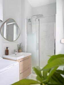 ein Badezimmer mit Dusche, Waschbecken und Spiegel in der Unterkunft Vesle- Hyper Centre - 2 Chambres in Reims + 11 Fotos