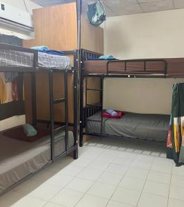 Palanda nebo palandy na pokoji v ubytování Tiki Tribe Bar & Hostel