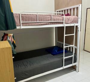 Palanda nebo palandy na pokoji v ubytování Tiki Tribe Bar & Hostel + 37 fotografií